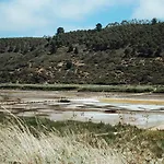 Casas Alma
